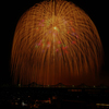 冠柳火