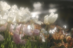 鎮魂花