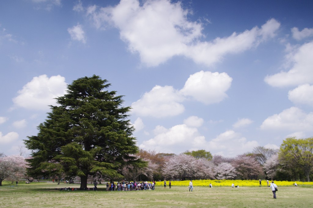 遠足日和