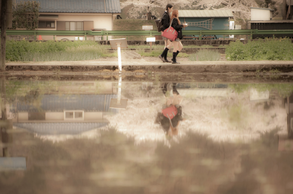 春色の通学路
