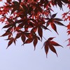 重なって