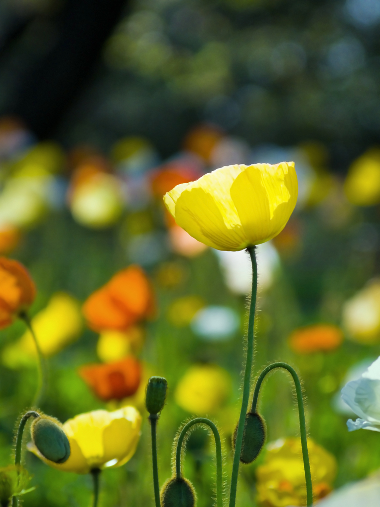  April magic