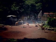 箱庭　多摩動物園　２