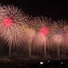 フェニックス　2016