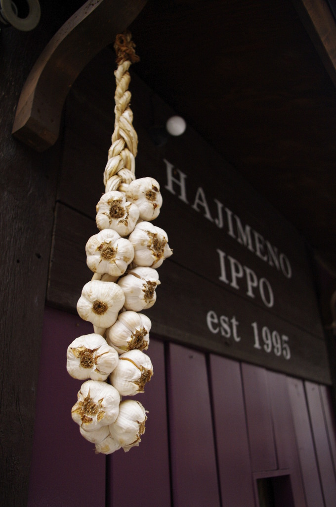 Garlic