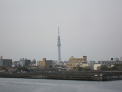 月島からのスカイツリー