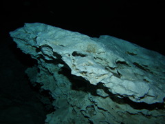 P9090444