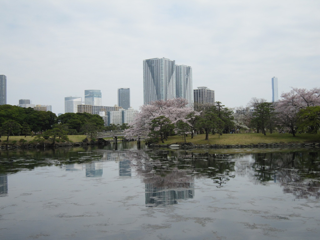 池に写る