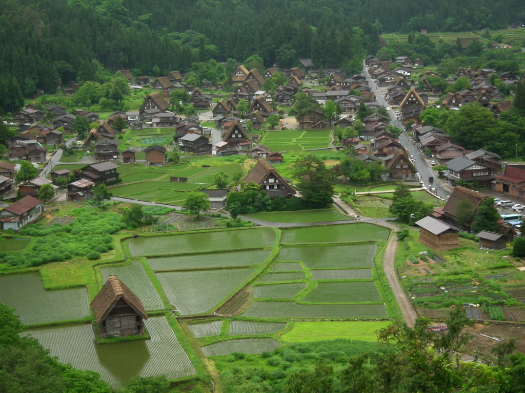 全景(6月)