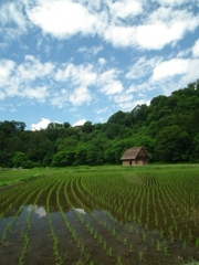鏡面 納屋
