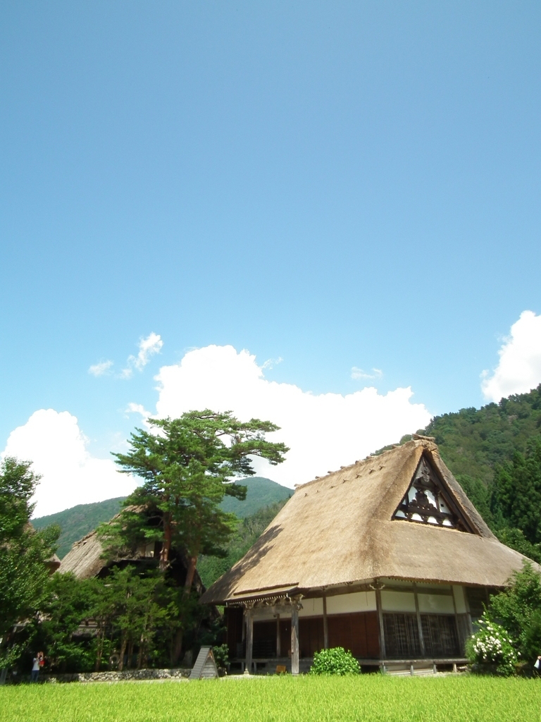 明善寺