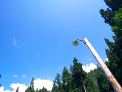 夏の街灯