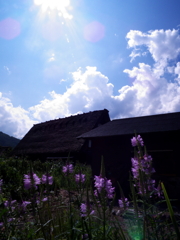 日差し