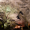 夜会への誘い