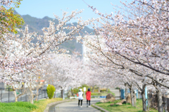 春の散歩道
