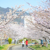 春の散歩道