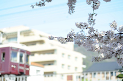 春色列車が通り過ぎ
