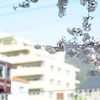 春色列車が通り過ぎ