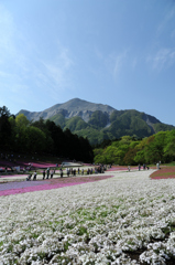 白い川流れて