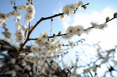 春風感じて