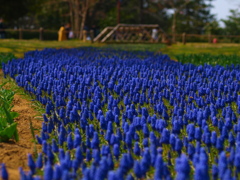 青い小川