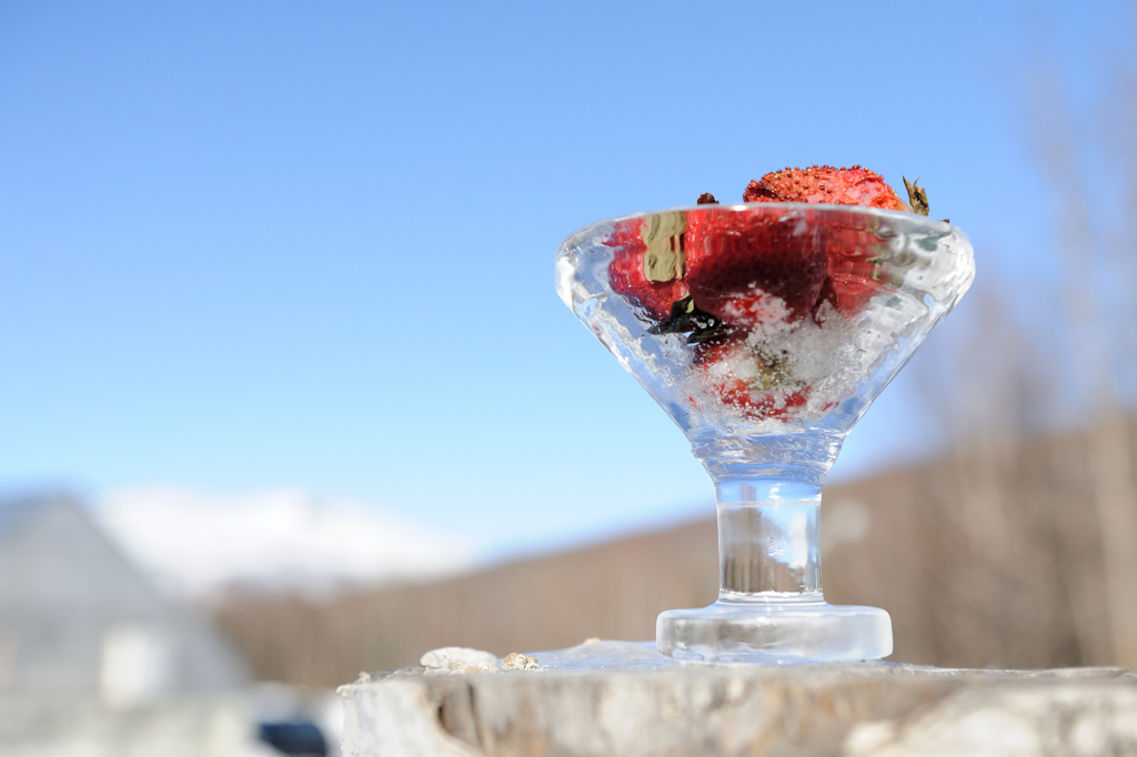 アラスカに乾杯!!