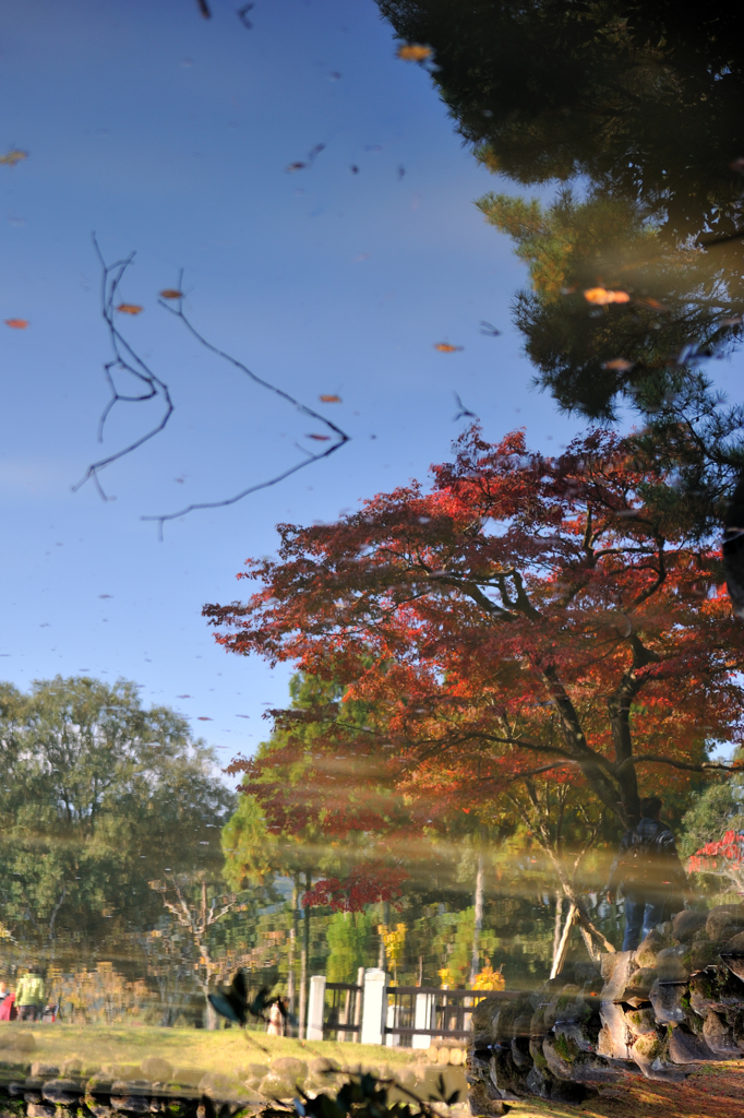 水鏡の紅葉