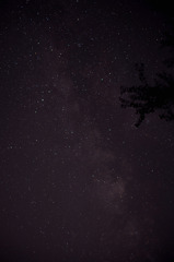 星に願いを