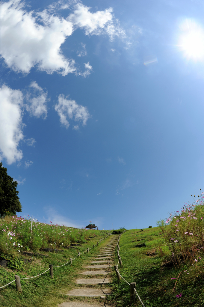 青空へと続く階段