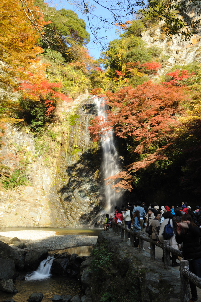 箕面大滝の紅葉
