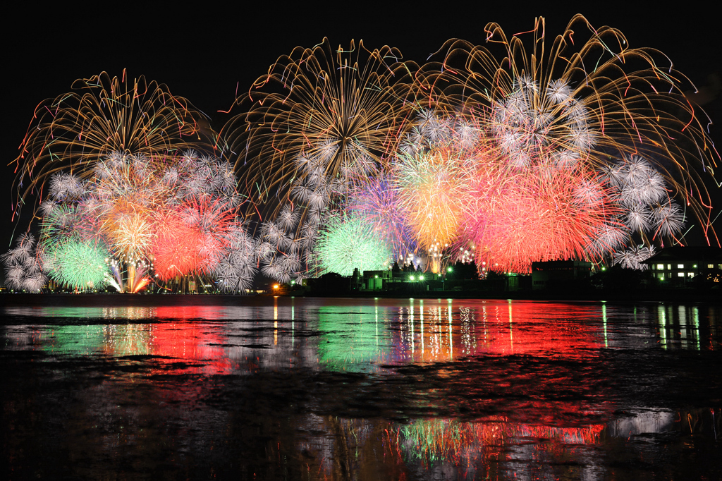 湖上に広がる扇の花