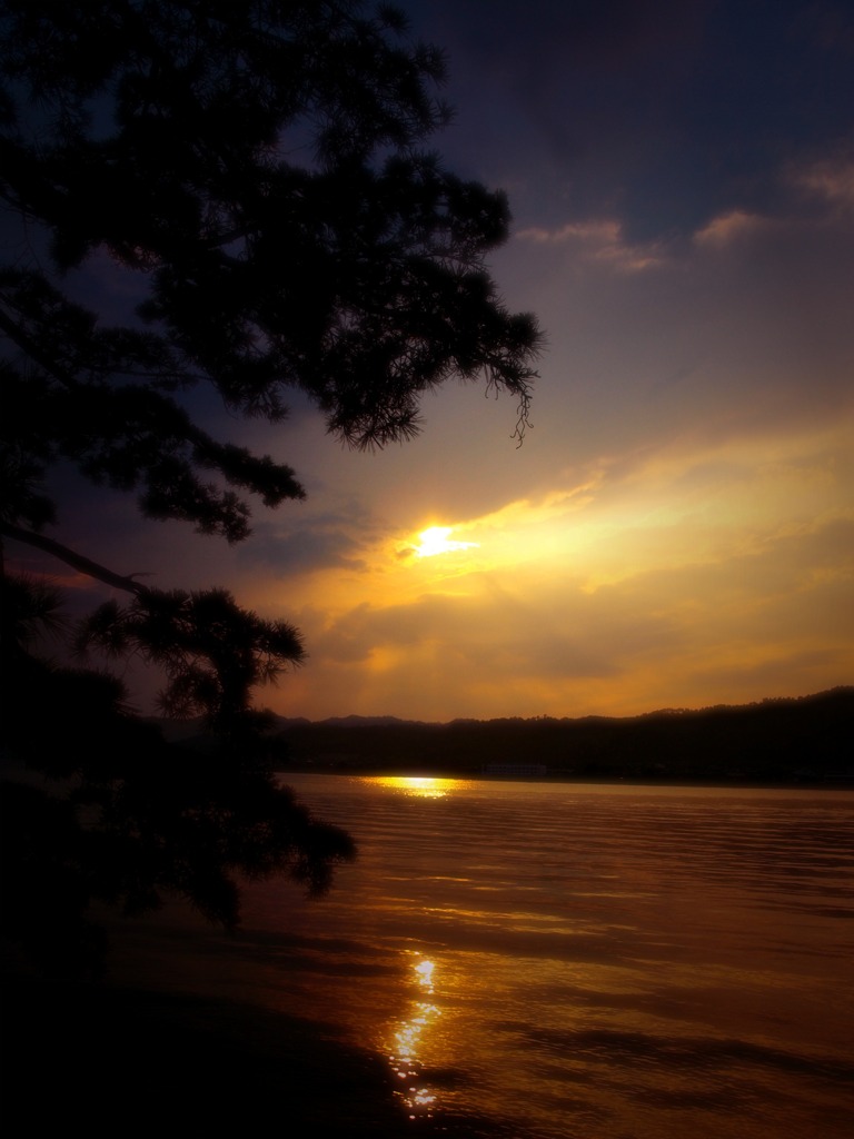 穏やかな夕日に。
