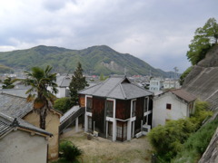 CIMG1129