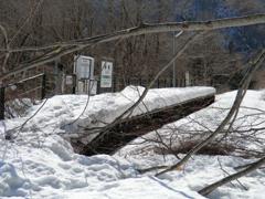 CIMG0881_1