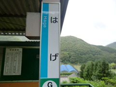 CIMG1531