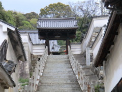 CIMG1127