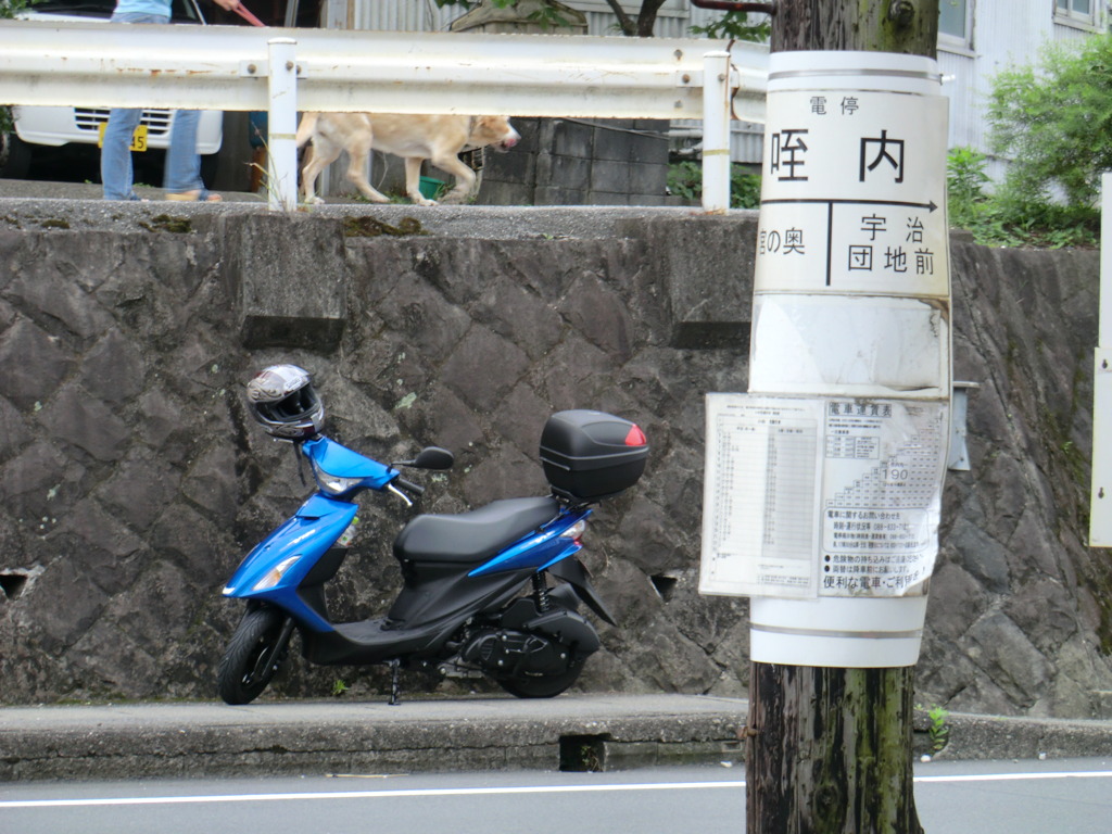 CIMG1470