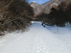 CIMG0880