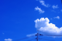 blue blue blue*