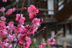 20110211 101