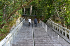 20110122 029