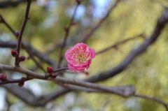 20110116 039