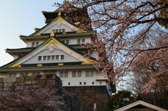 大阪城