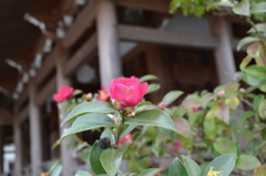 20110122 065