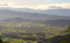 葛城山（中腹）