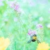 怖がらないで