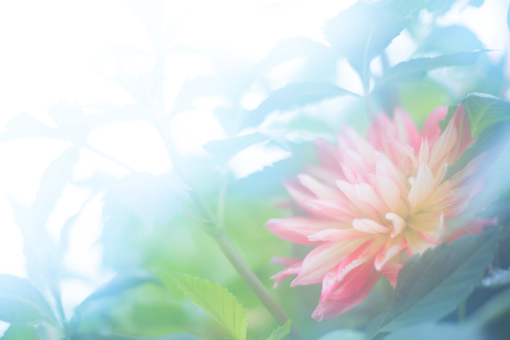 memento