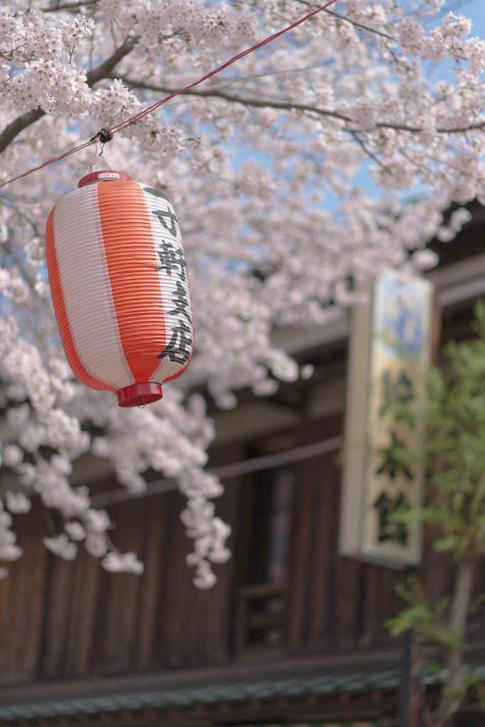 花咲く小幡