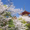 さんざめく
