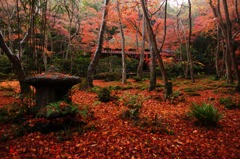 晩秋の衹王寺